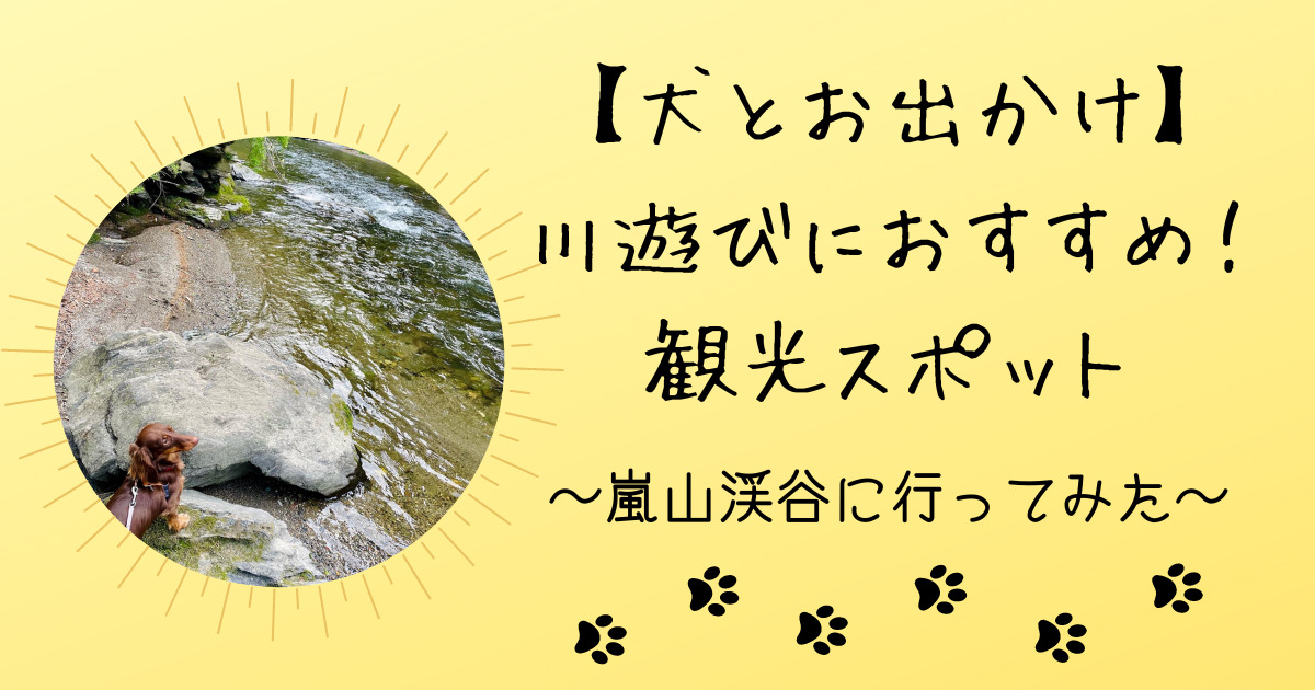 犬と川遊びにおすすめ嵐山渓谷