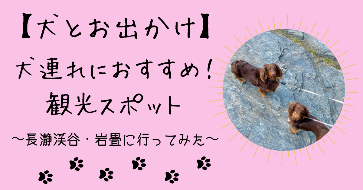 犬連れにおすすめ観光スポット長瀞渓谷