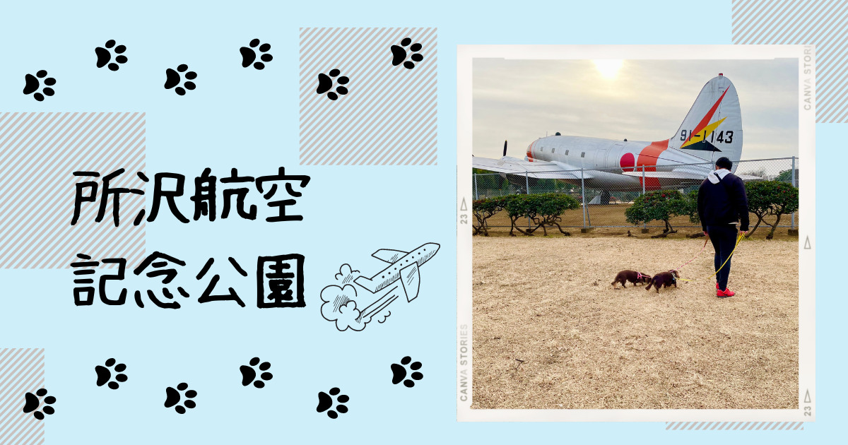 所沢航空記念公園