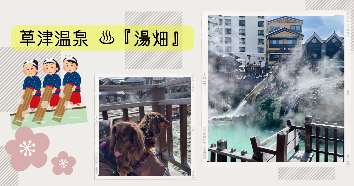 草津温泉　湯畑　犬