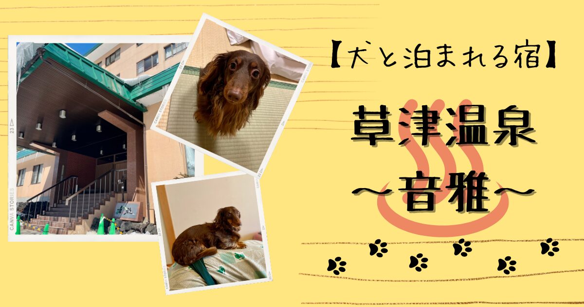 草津温泉　犬と泊まれる