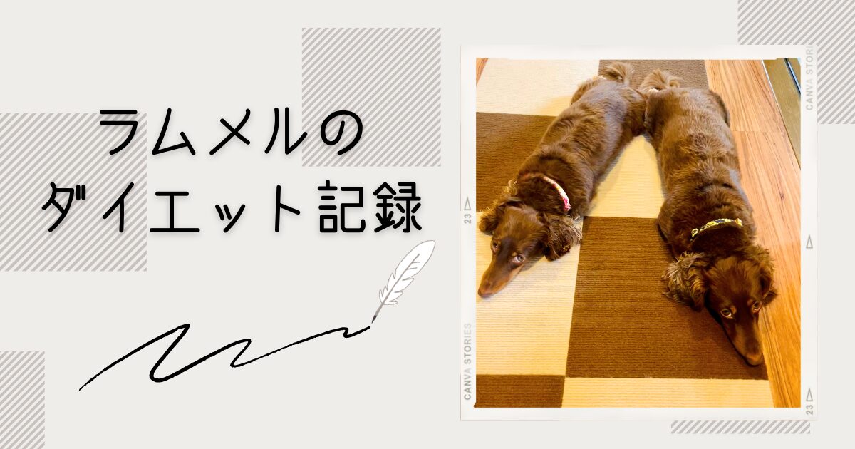 愛犬達のダイエット