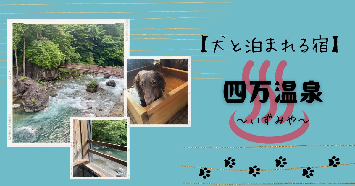 四万温泉　犬と泊まれる