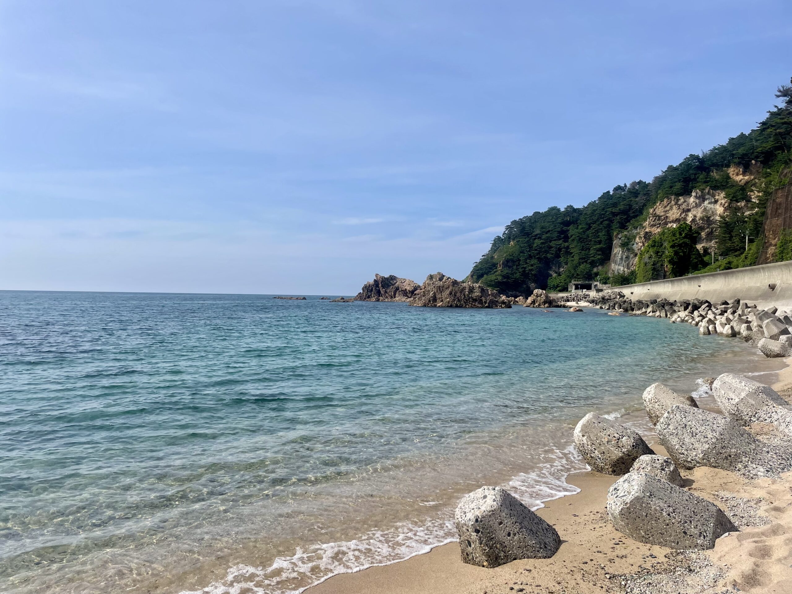 笹川流れ　海　犬